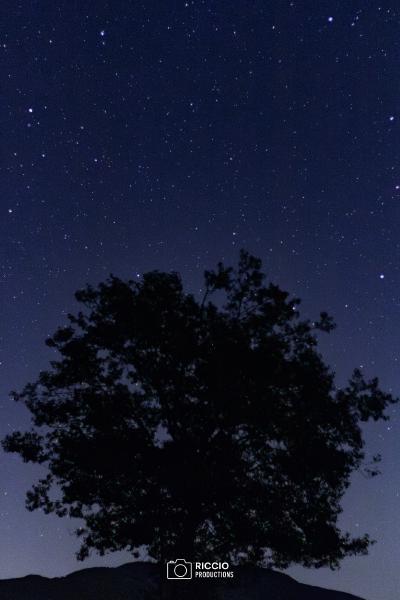 Cielo stellato in località Perali - Tortorella (SA)