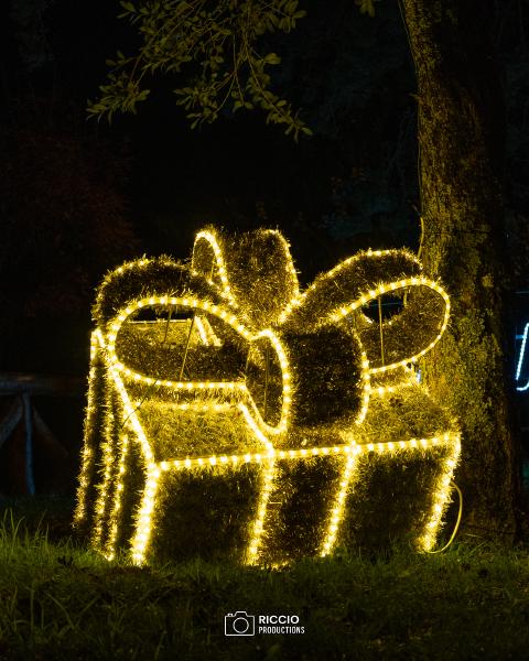 Natale 2025 - Tortorella
