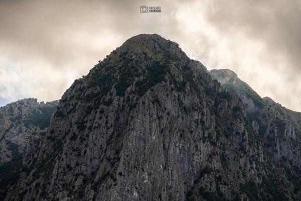 Monte Bulgheria visto da Bosco (SA)